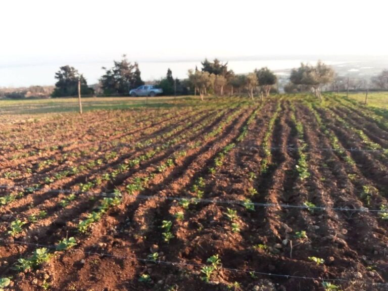 قطعة أرض للبيع بغار الملح