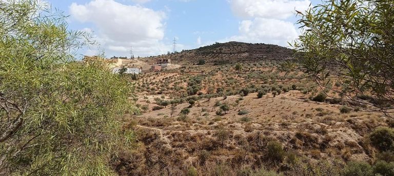 أرض للبيع بجباس