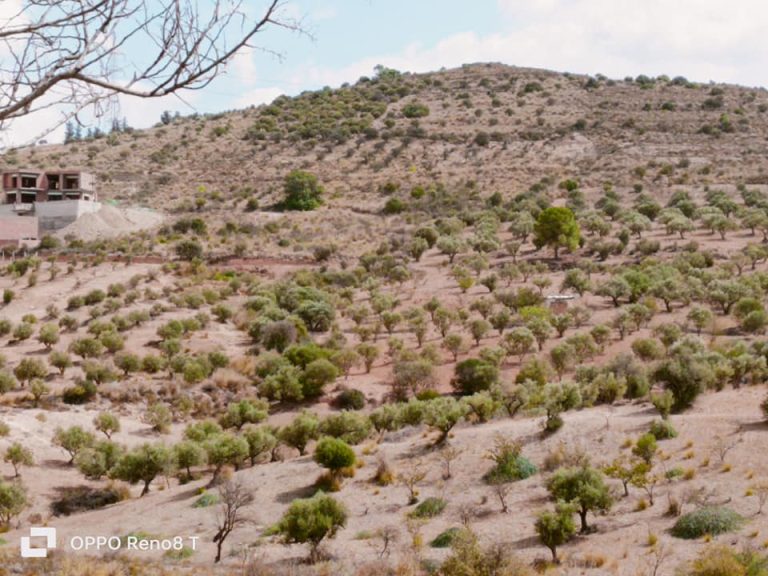 أرض للبيع بجباس