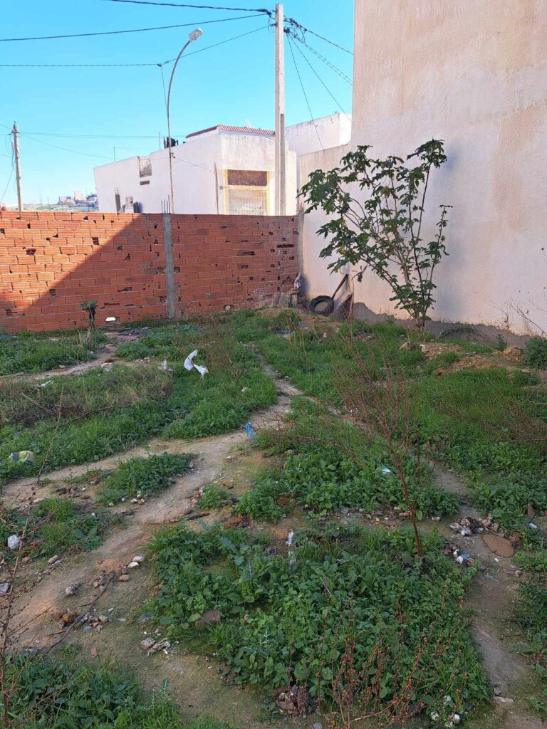 Terrain a el omar supérieure