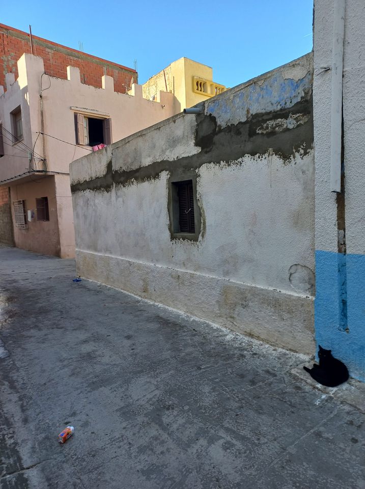 للبيع دار عربي