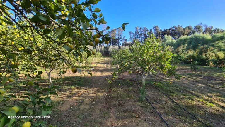 730168 20240129 102742 768x432