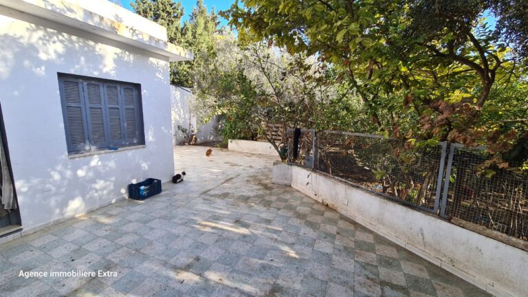 99eme ferme &agrave; ghardeya