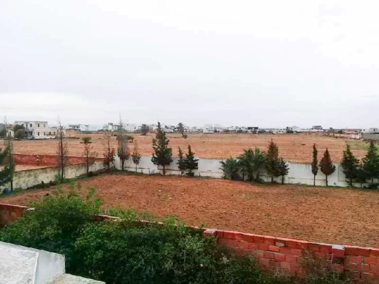 147848 20240223 224412 768x576