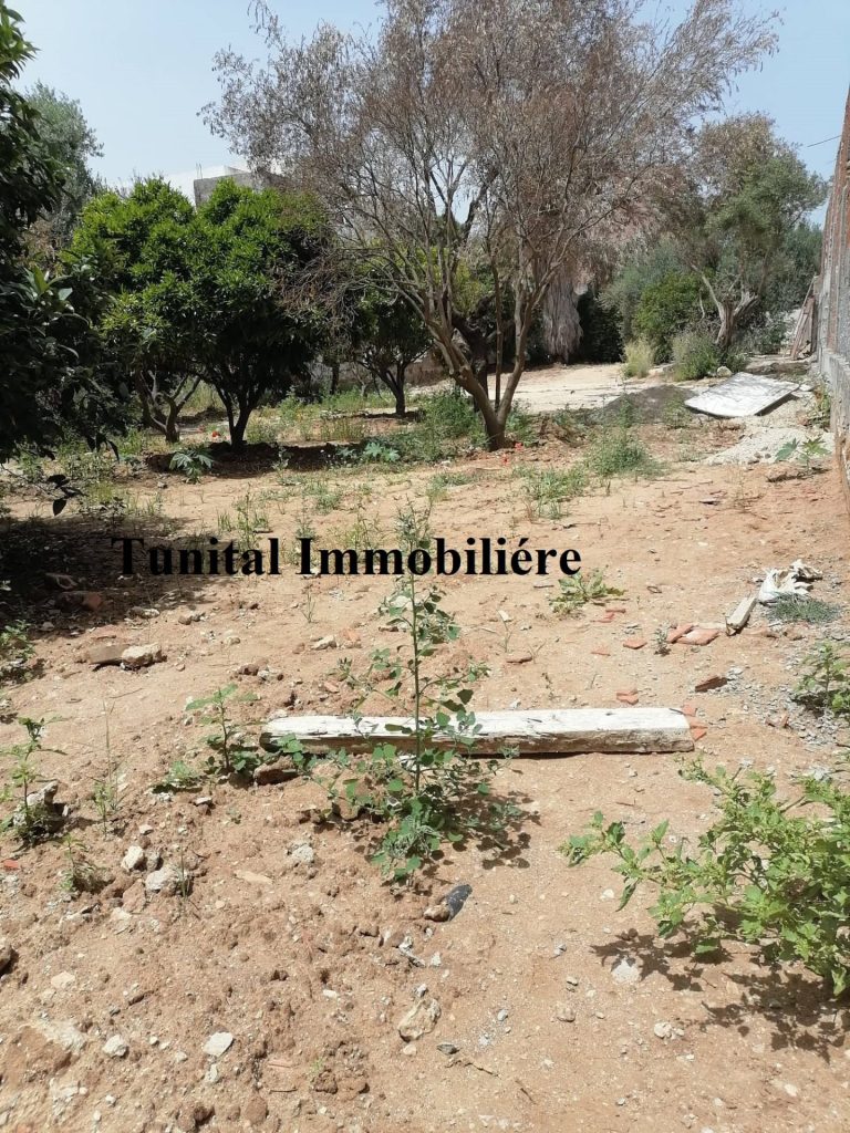 Gammarth village a v terrain cl&ocirc;tur&eacute;