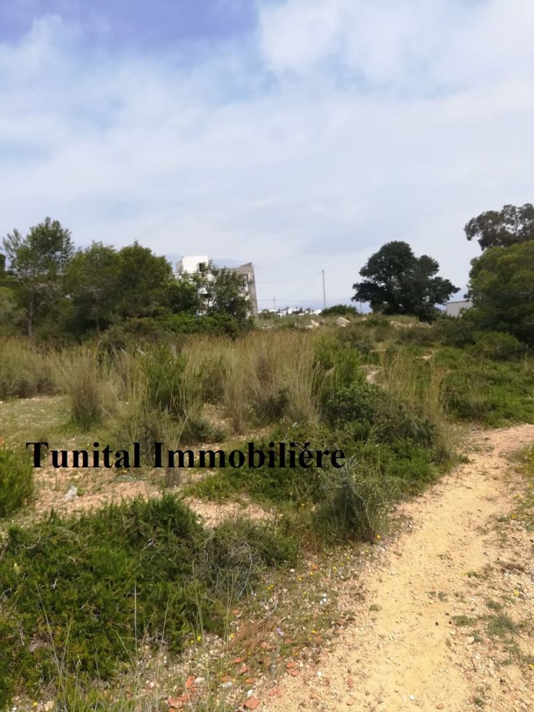 La marsa jbal khaoui a v terrain