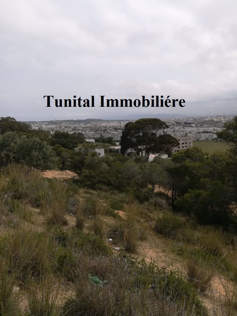 La marsa jbal khaoui a v terrain