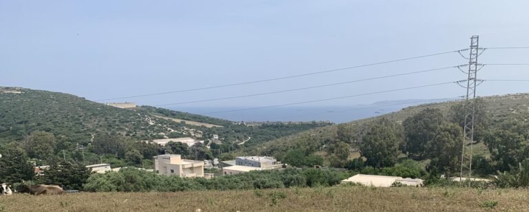 Terrain ain berda bizerte