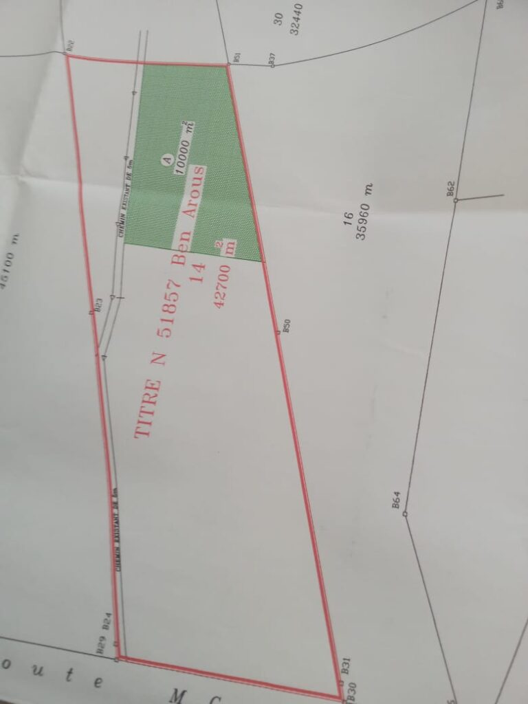 Morneg jbel erssas vnt terr 2500m2