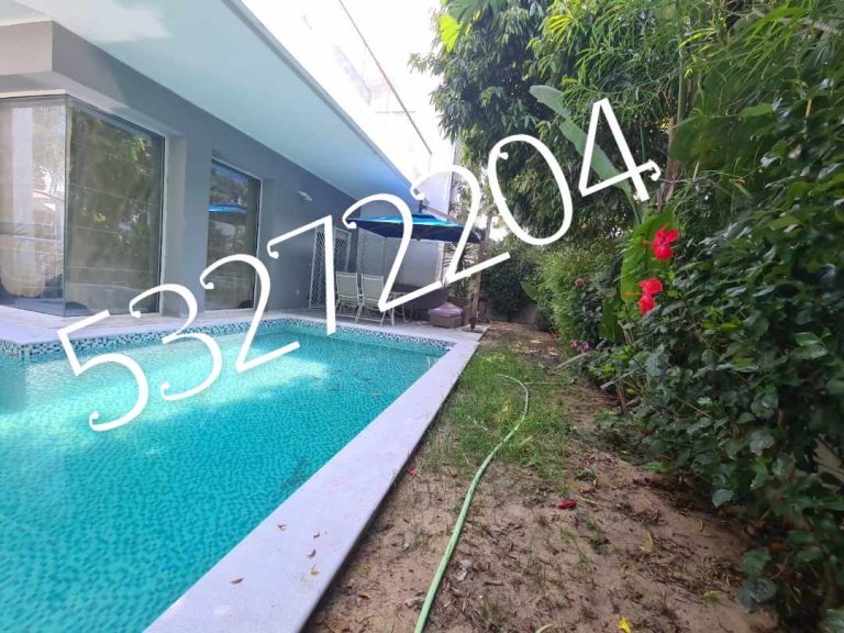 702382 20240213 115140 768x576