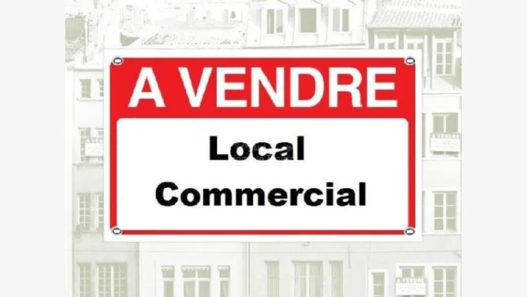 702382 20240221 092801 768x433