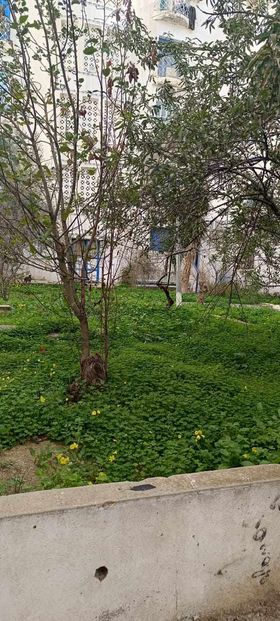 733463 20240213 120722