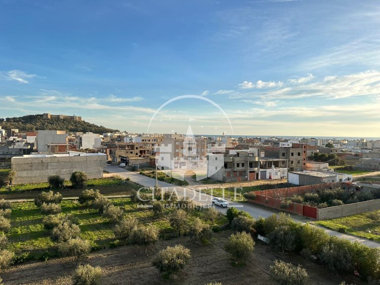 767961 20240223 134800 768x576