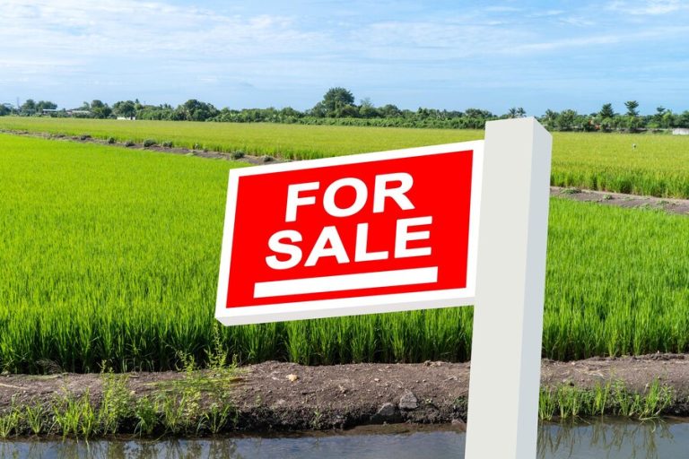 773722 20240221 135408 768x512