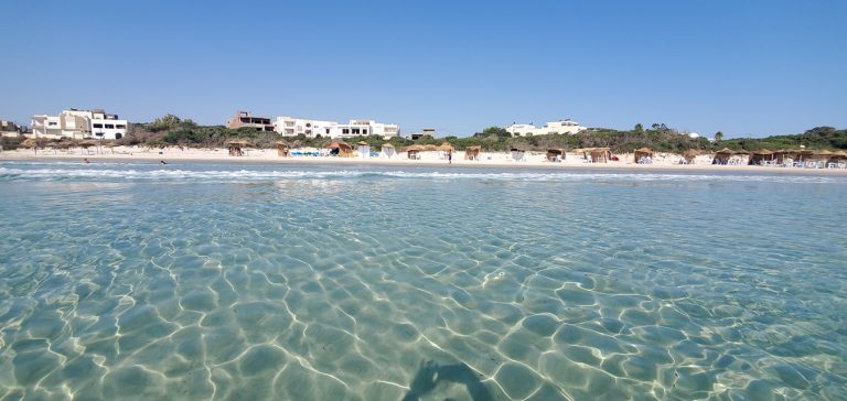 3 hectare en premi&egrave;re position