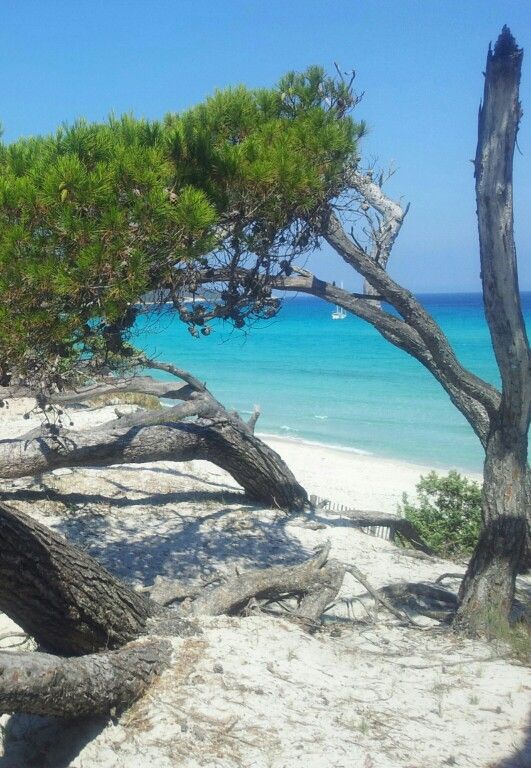 775572 20240215 153926