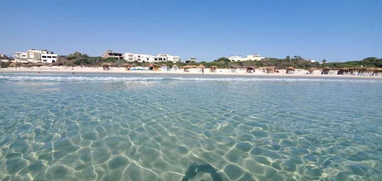 775572 20240221 150914 768x364