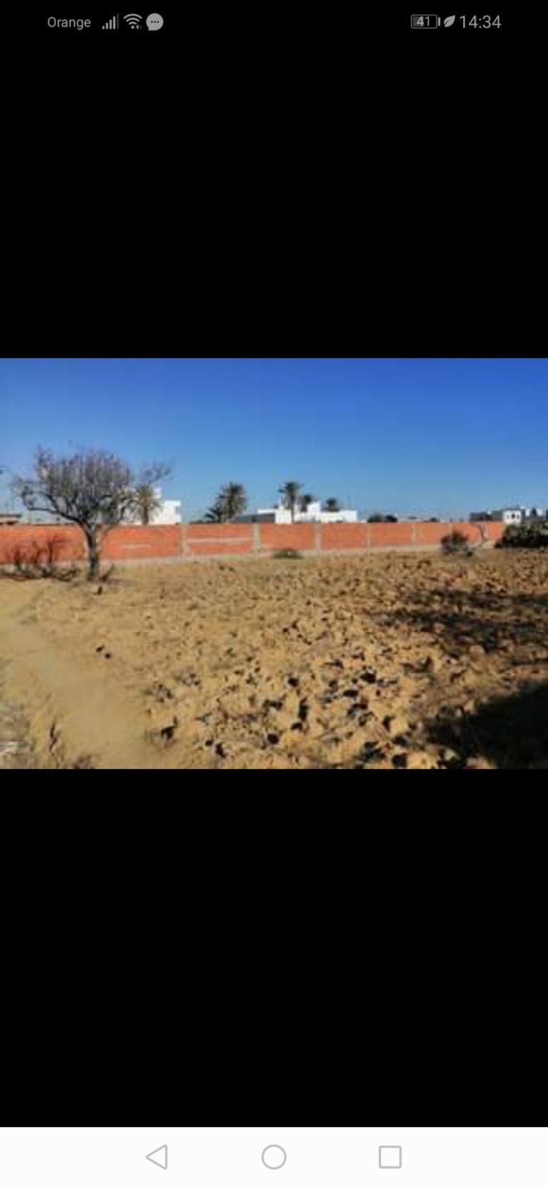 782283 20240221 222602 768x1664