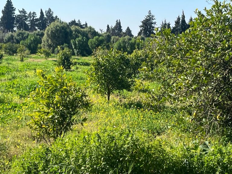 782318 20240223 192847 768x576