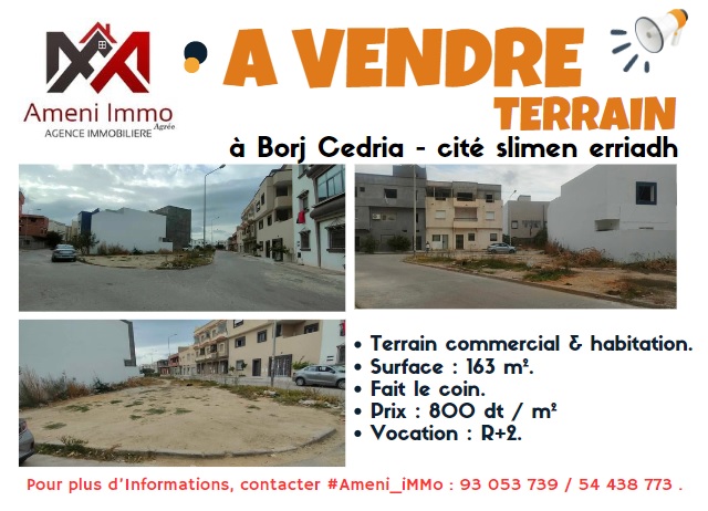 590566 20240309 102241