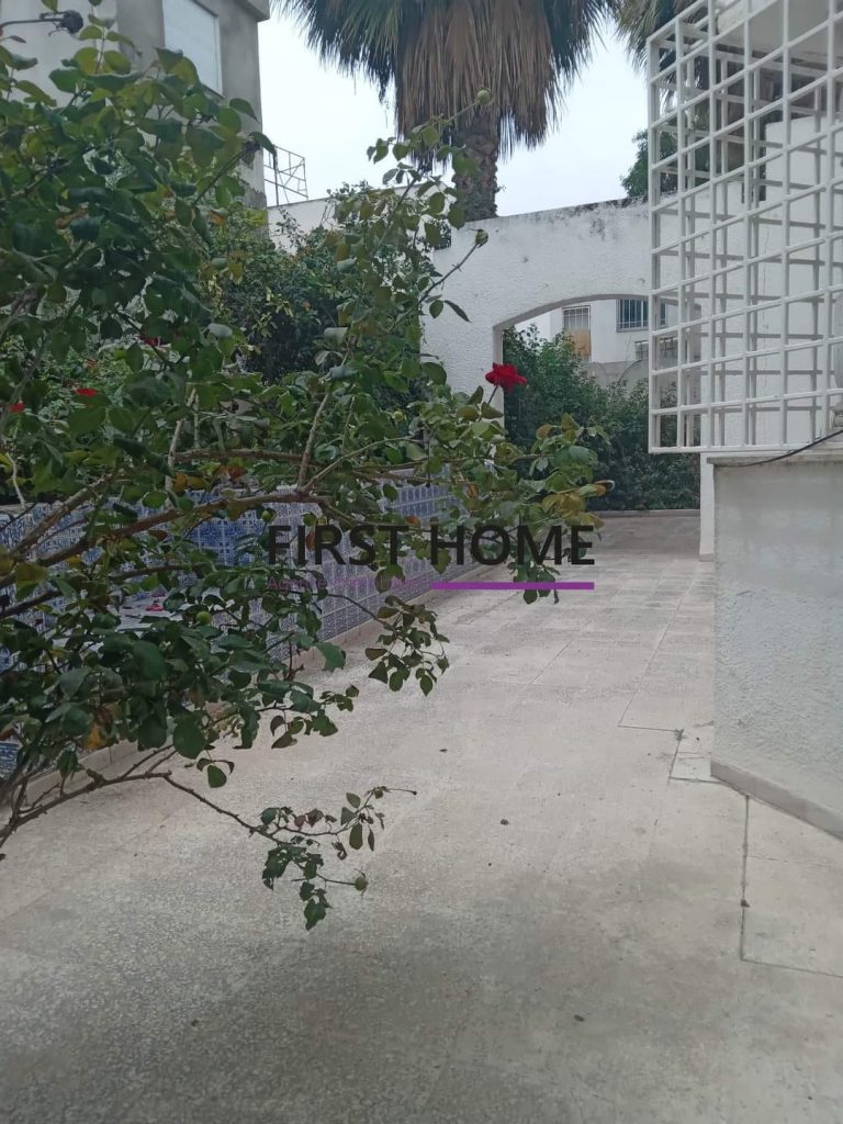 636459 20240308 140936 768x1024