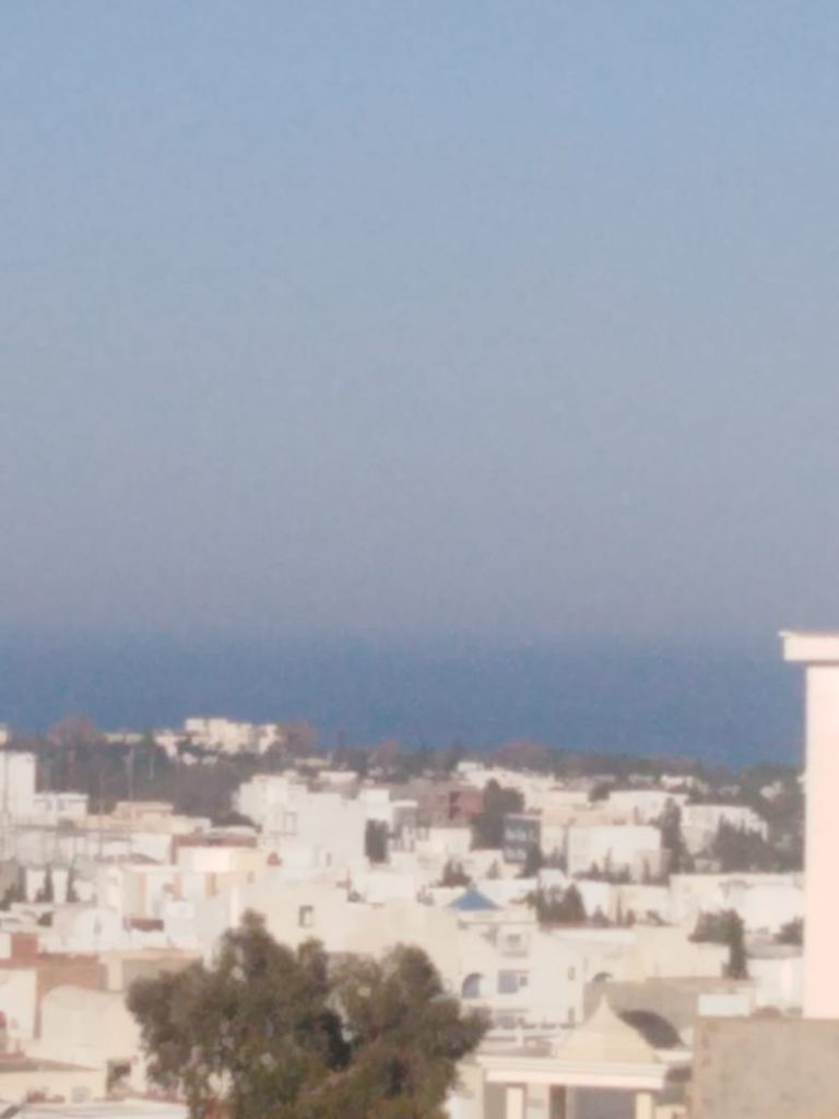 730168 20240305 110813 768x1024