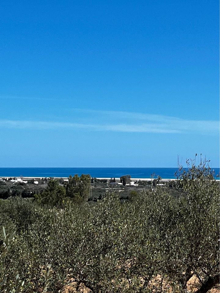 730168 20240306 105602