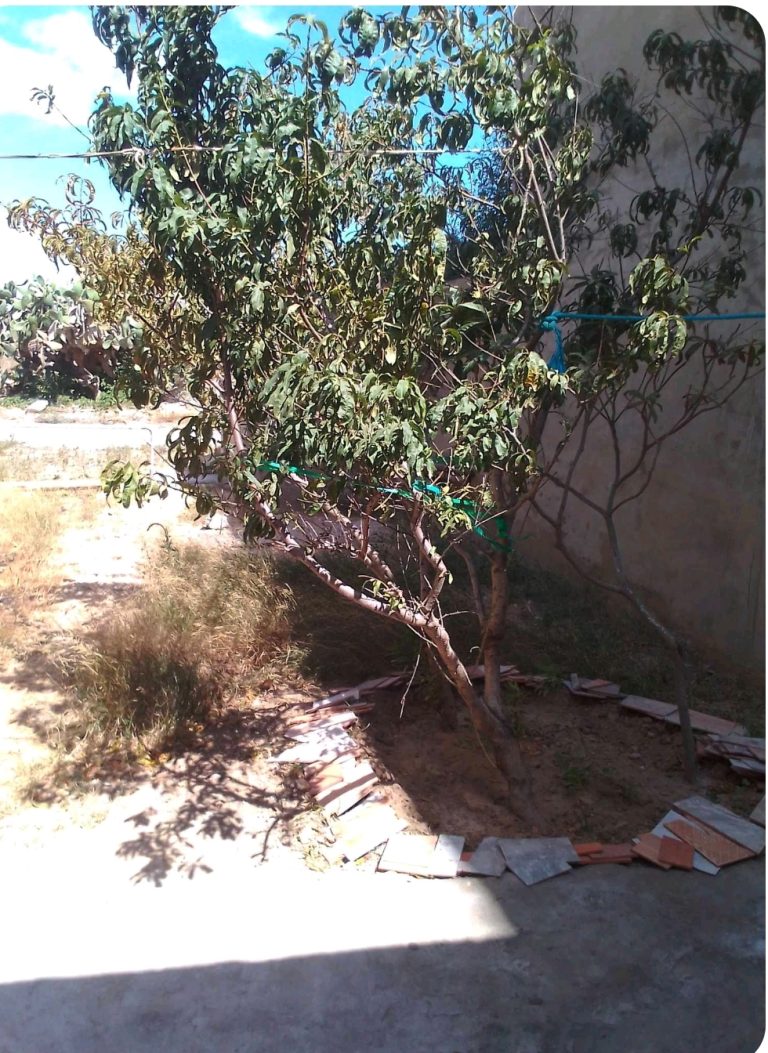 Occasion d'un terrain &agrave; k&eacute;libia