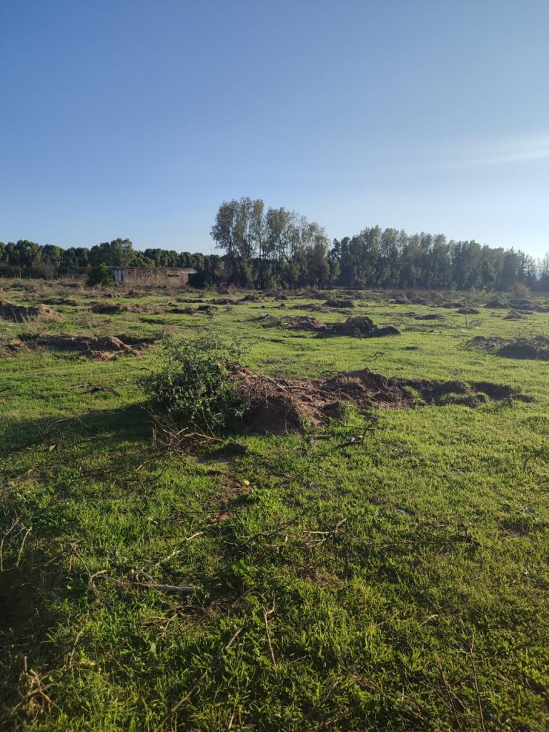 Une belle ferme &agrave; manzel bouzalfa nabeul