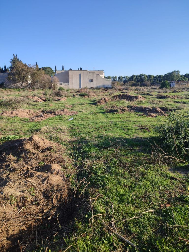 Une belle ferme &agrave; manzel bouzalfa nabeul