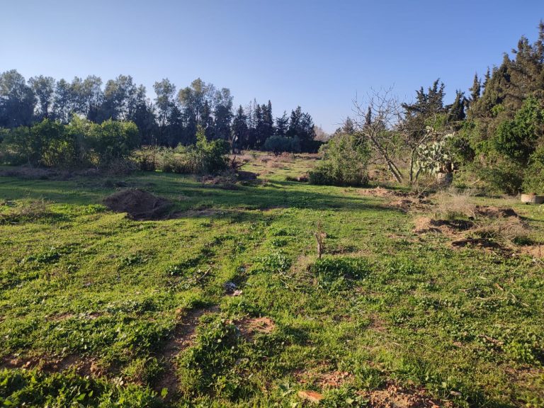 Une belle ferme &agrave; manzel bouzalfa nabeul