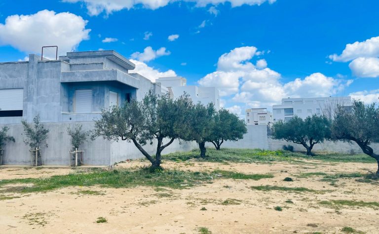 743521 20240316 100322 768x474