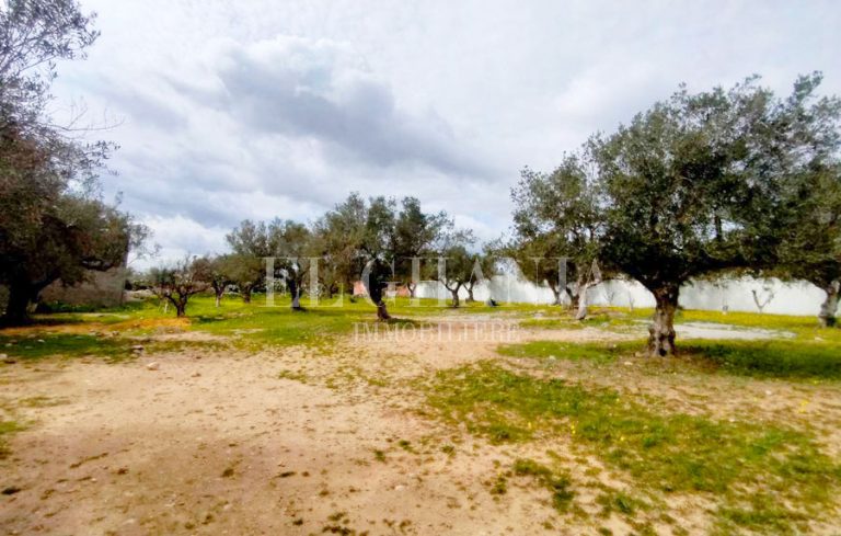 781668 20240319 212727 768x489