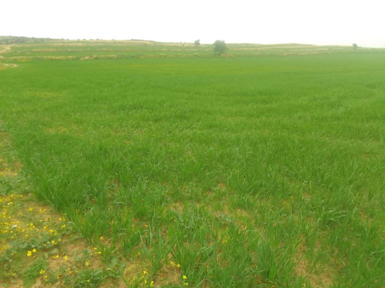 782051 20240227 144450 768x576