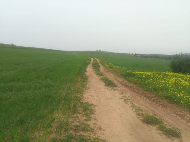 Terrain nu 5 km au centre ville