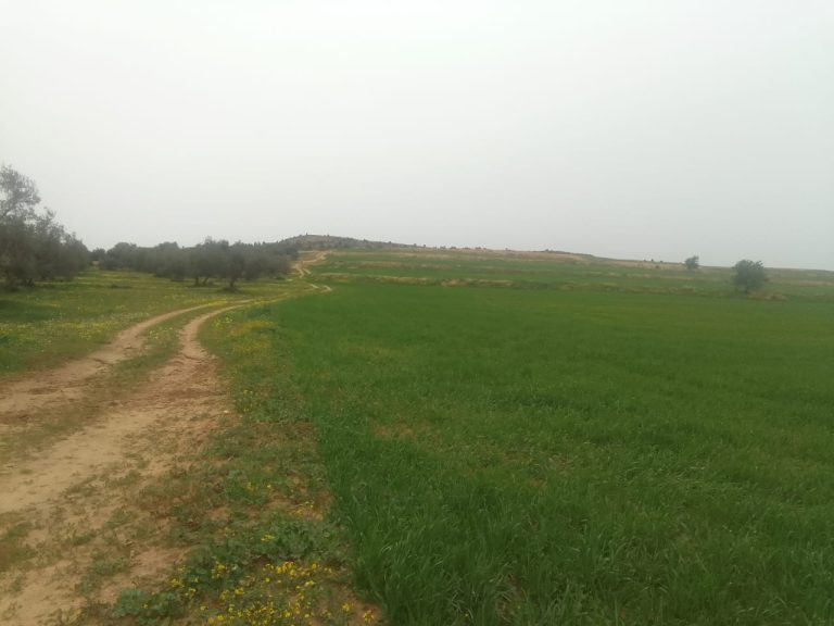 Terrain nu 5 km au centre ville