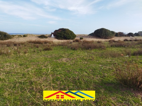 782632 20240312 011712