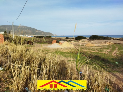 Terrain de 400m2 a la plage el haouaria cap bon