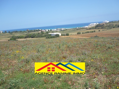 782632 20240327 012429