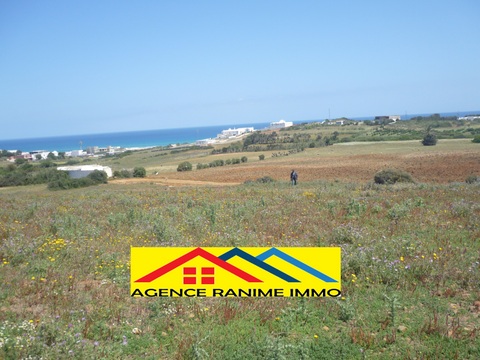 Terrain agri 2363m2 la plage el haouaria cap bon