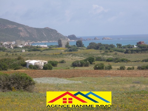 Terrain agri 2363m2 la plage el haouaria cap bon