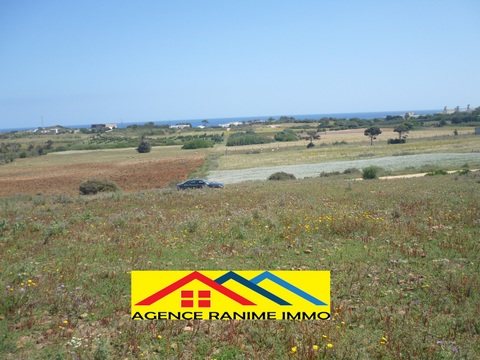 Terrain agri 2363m2 la plage el haouaria cap bon