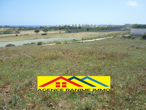 Terrain agri 2363m2 la plage el haouaria cap bon
