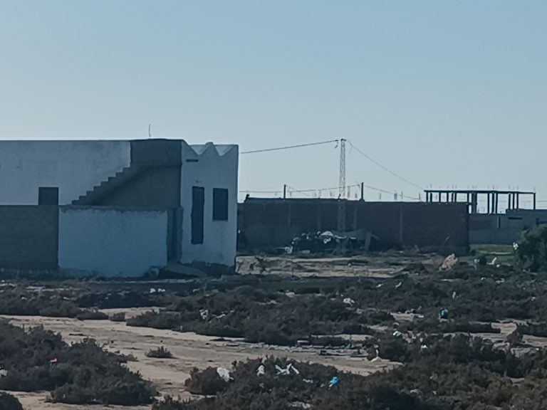 90862 20240314 173331 768x576