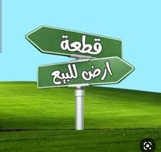 335269 20240414 165329