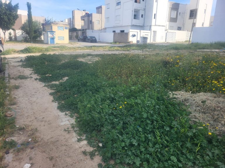 Magnifique lot de terrain &agrave; 9sour il bey manouba