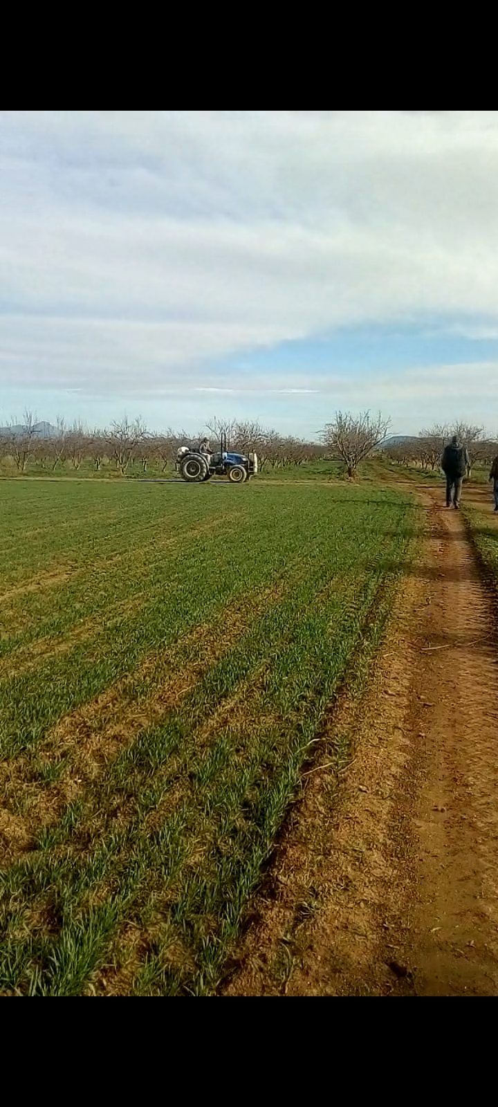 140 hectares a fahes