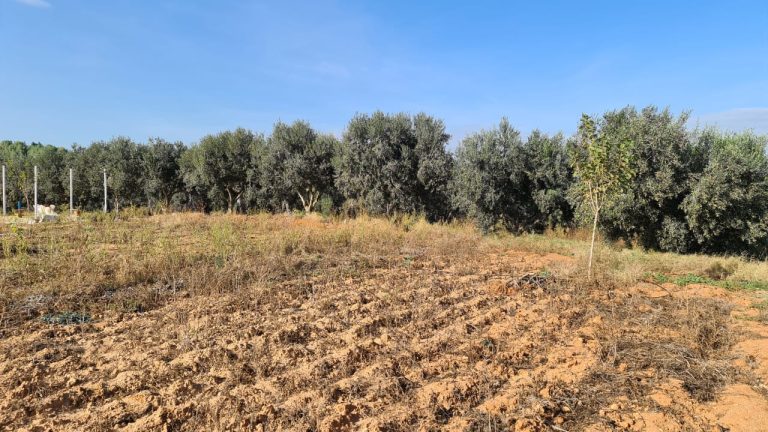 897eme campagne à somaa