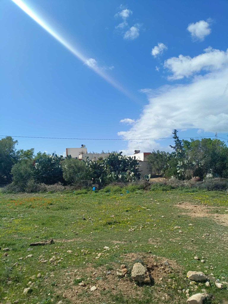 770319 20240416 132201 768x1024