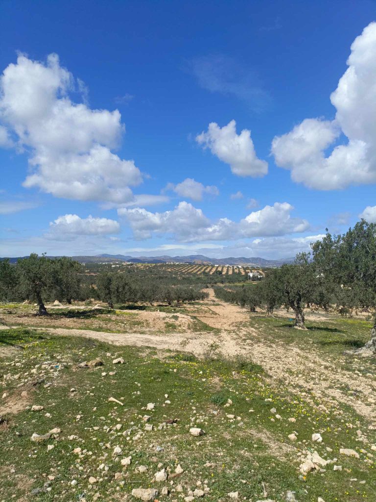 Av 3000m avec eau et &eacute;lectricit&eacute; &agrave; hammamet